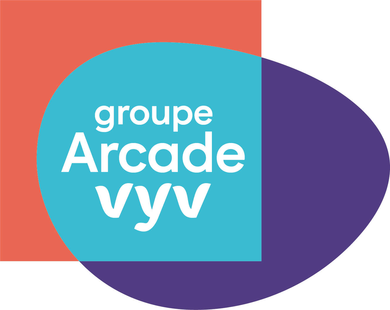 logo-Arcade-Vyv